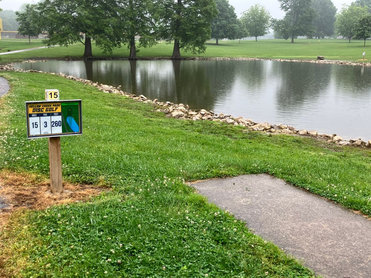 Hole 15 275’ shot. Protected by 3 guardians. Lake is OB. Basket is tucked between 2 most right trees
