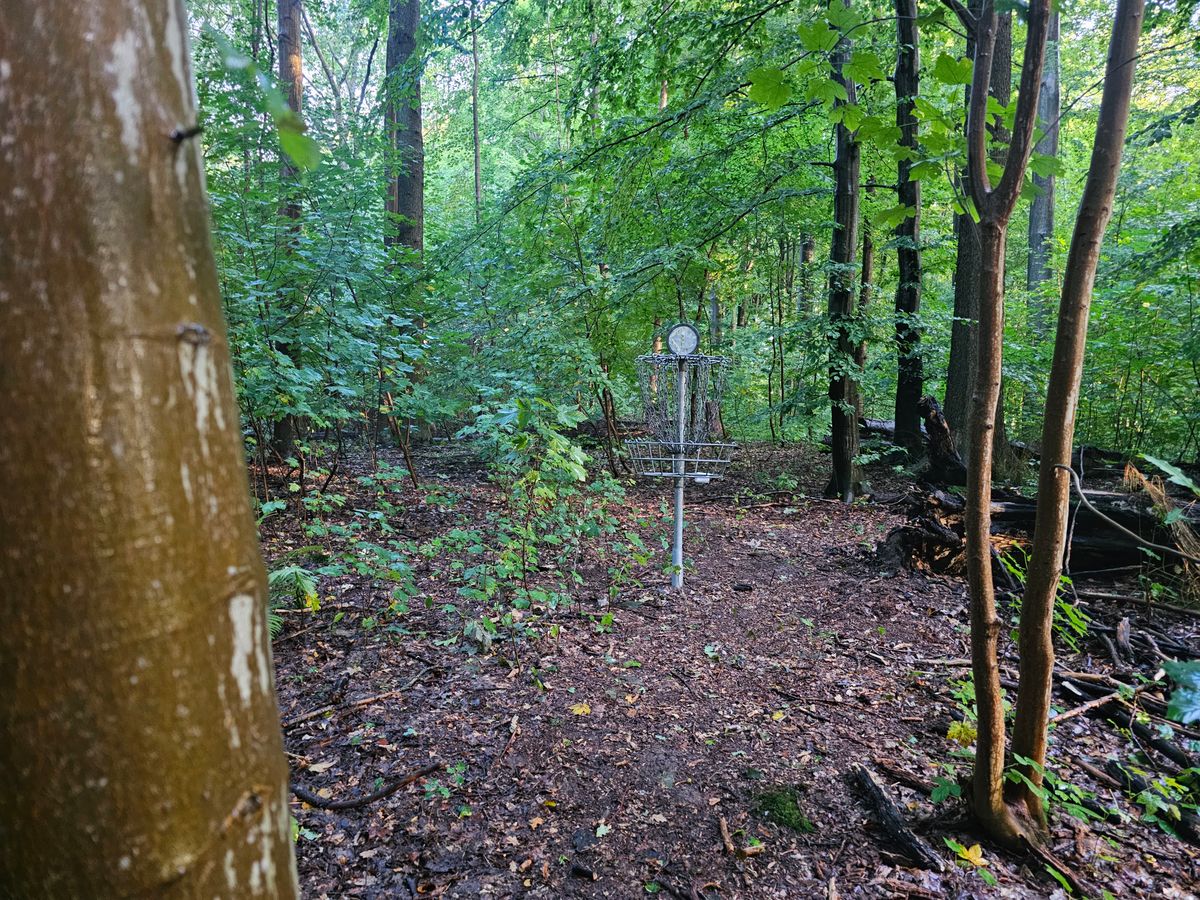 Hole 3b
