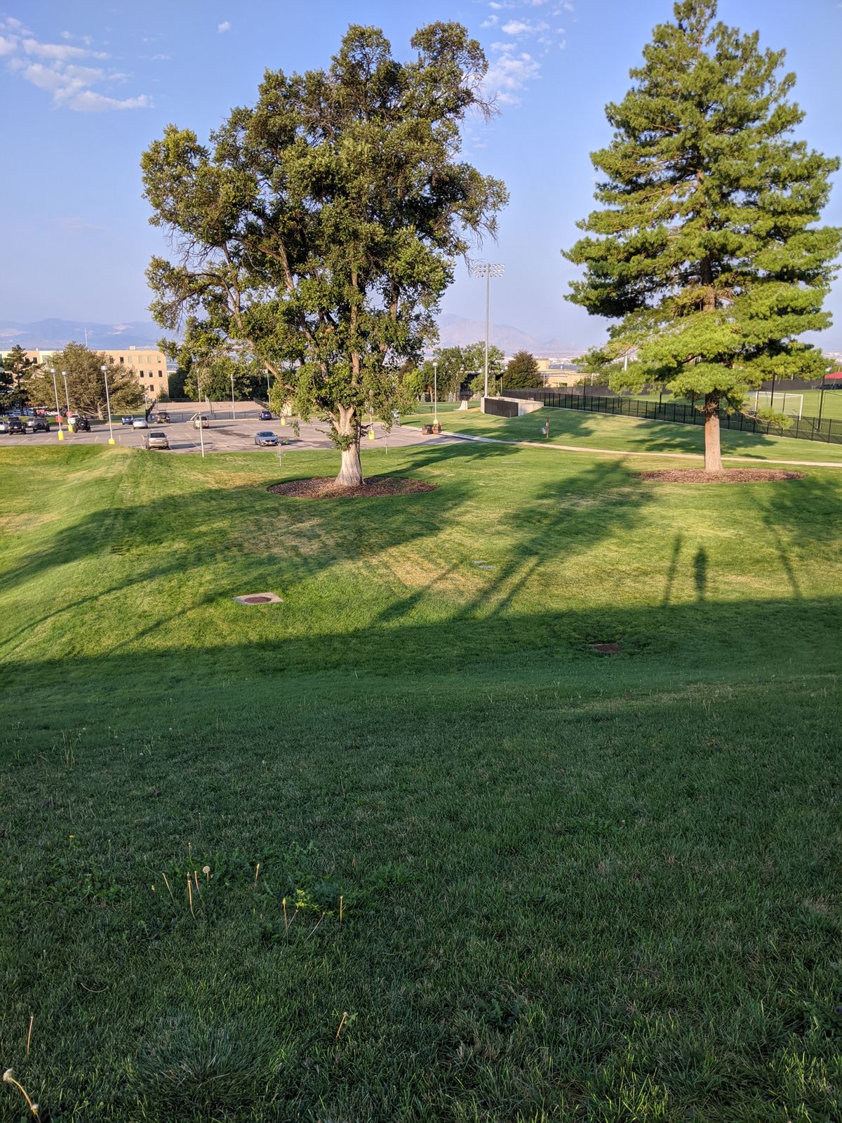 Hole 5 fairway. Basket on left of left tree.