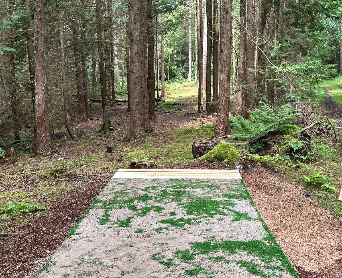 #13  - View from tee