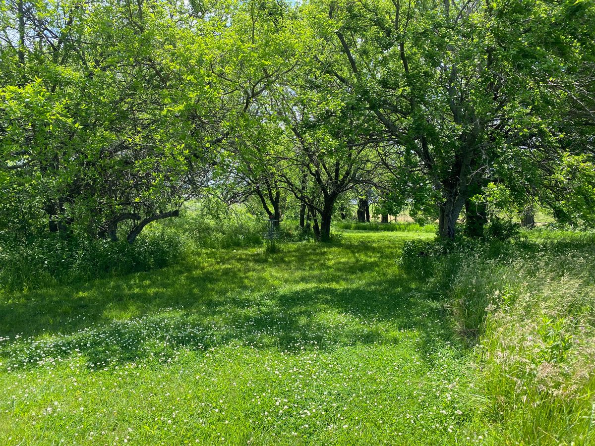 Banner Creek Reservoir