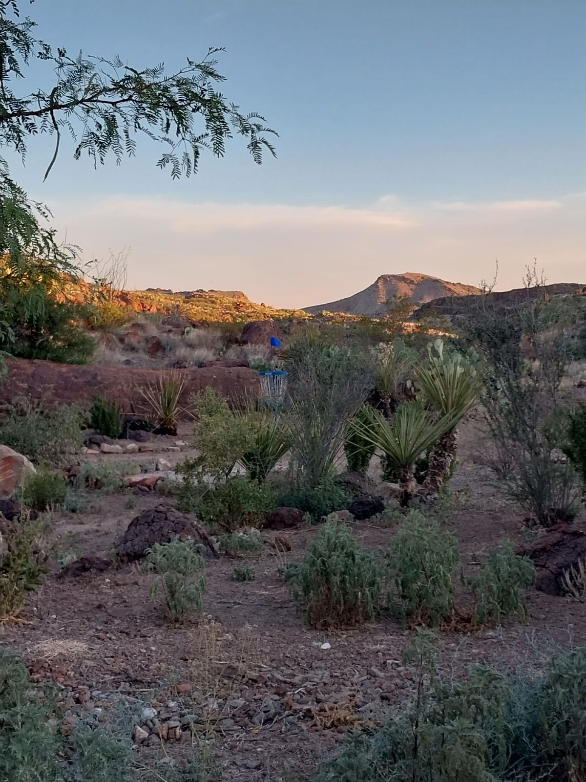 Extreme Desert Disc Golf