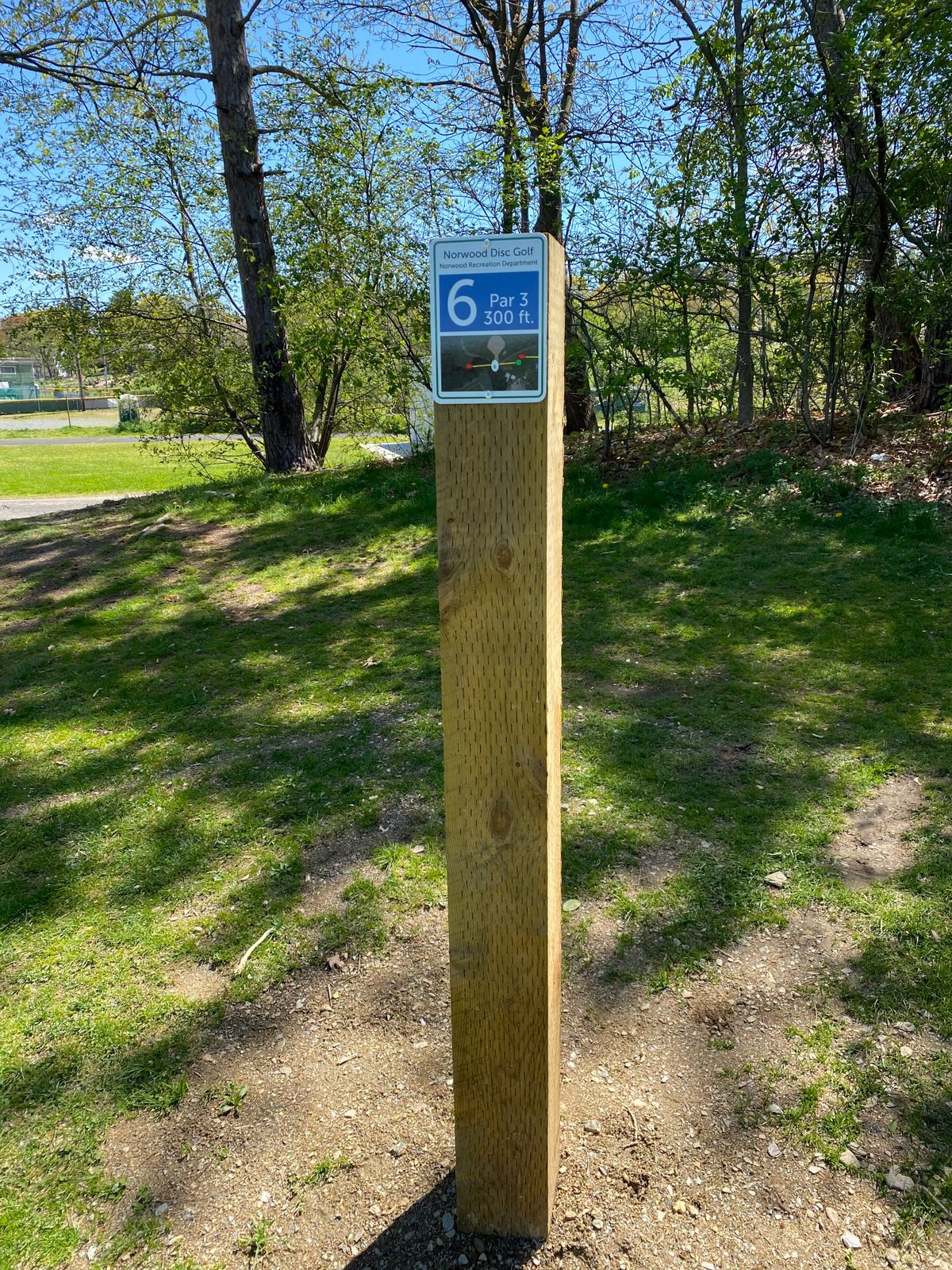 Tee Pad Hole 6