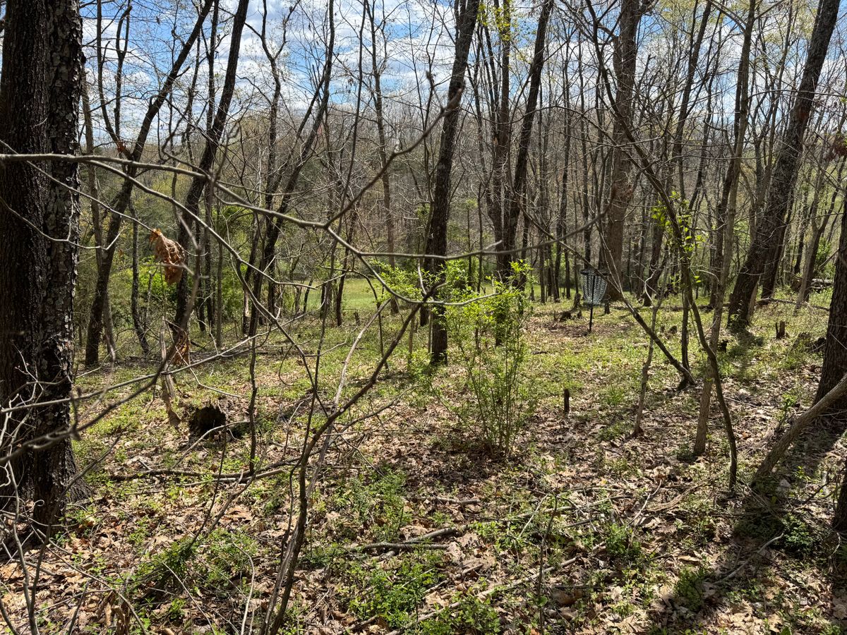 Hole 10 basket towards fairway