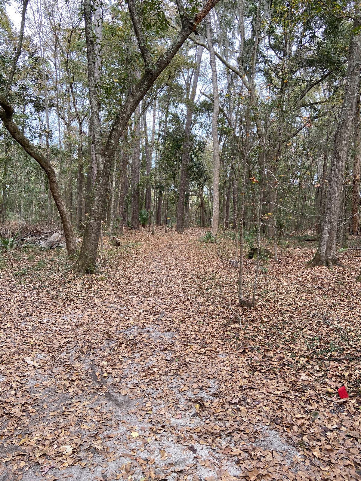 Hole 17