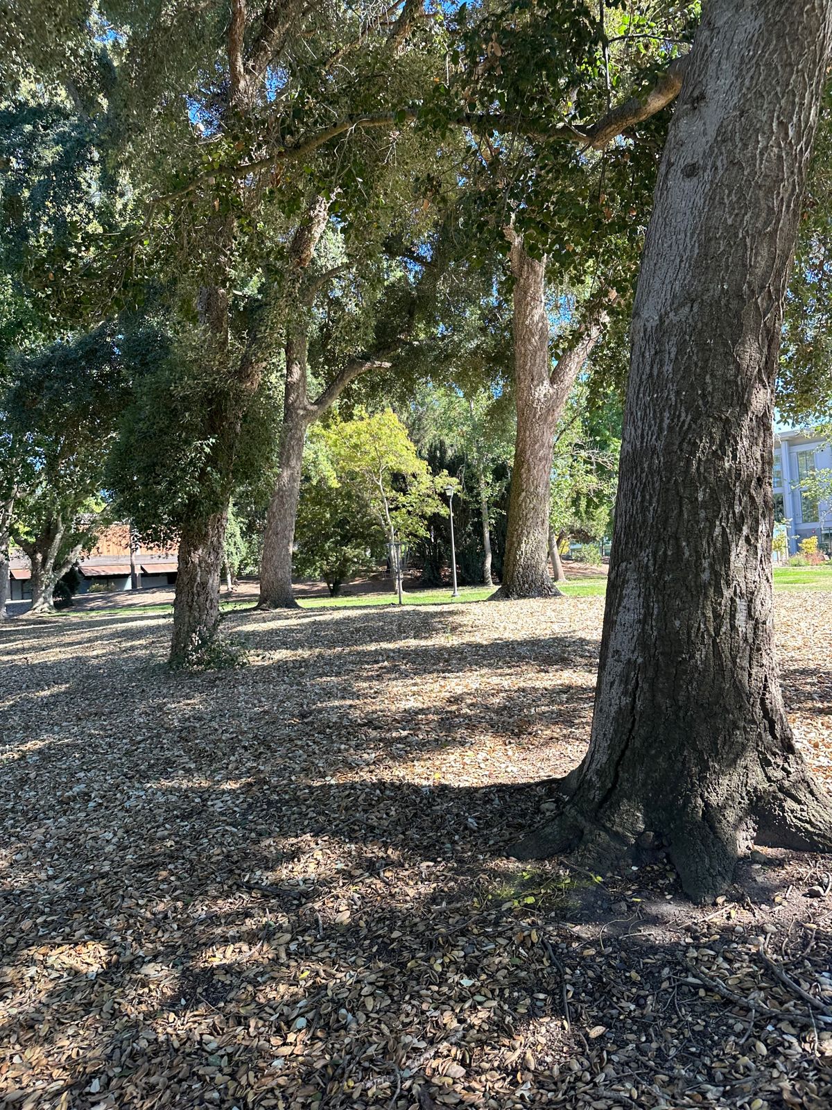 Hole 5 fairway