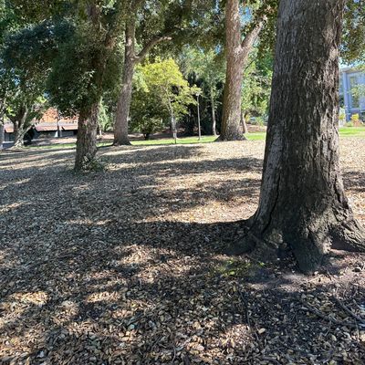Hole 5 fairway