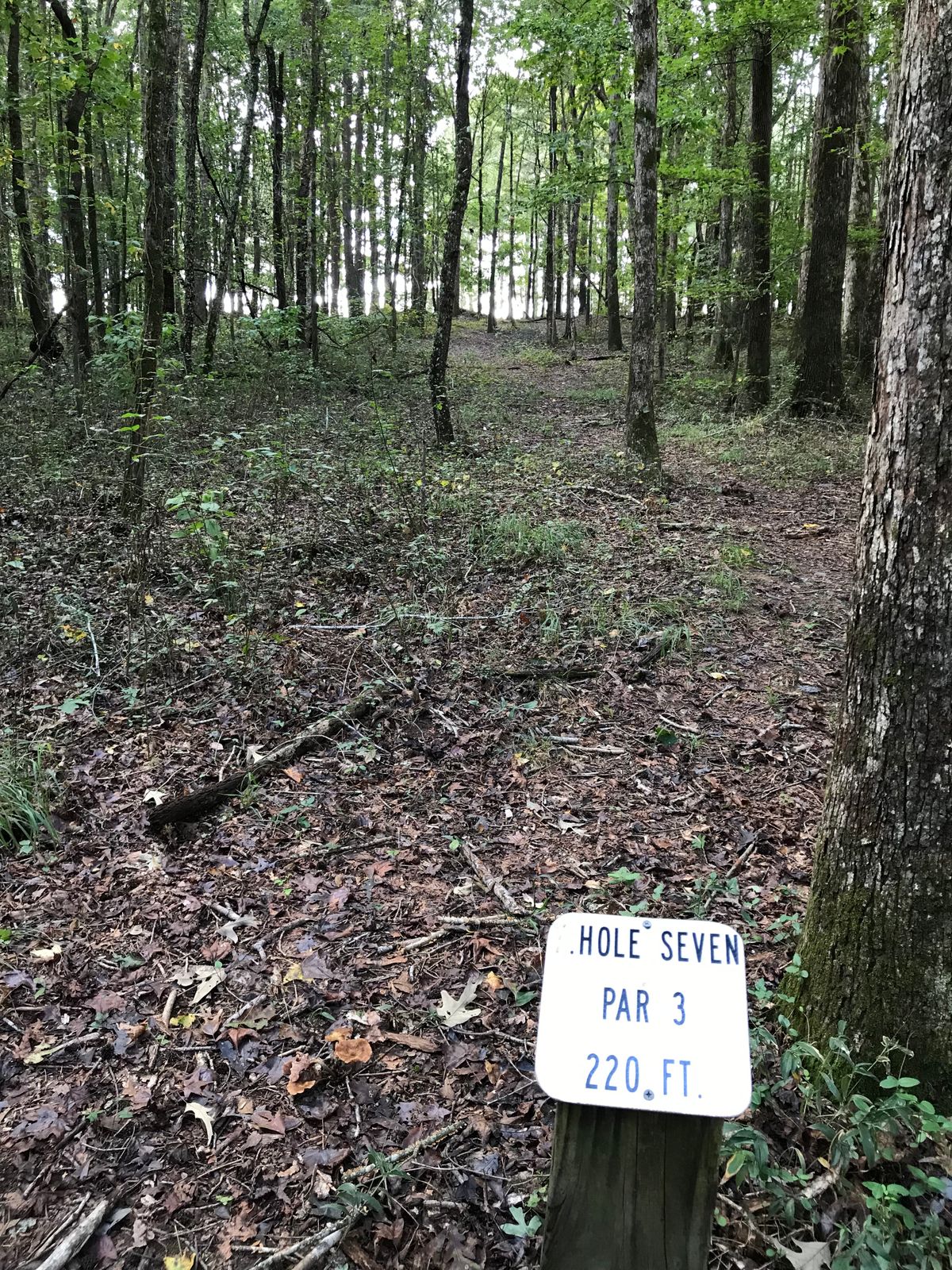 Hole 7 is uphill, through the woods with the basket guarded by a dirt mound and large tree.