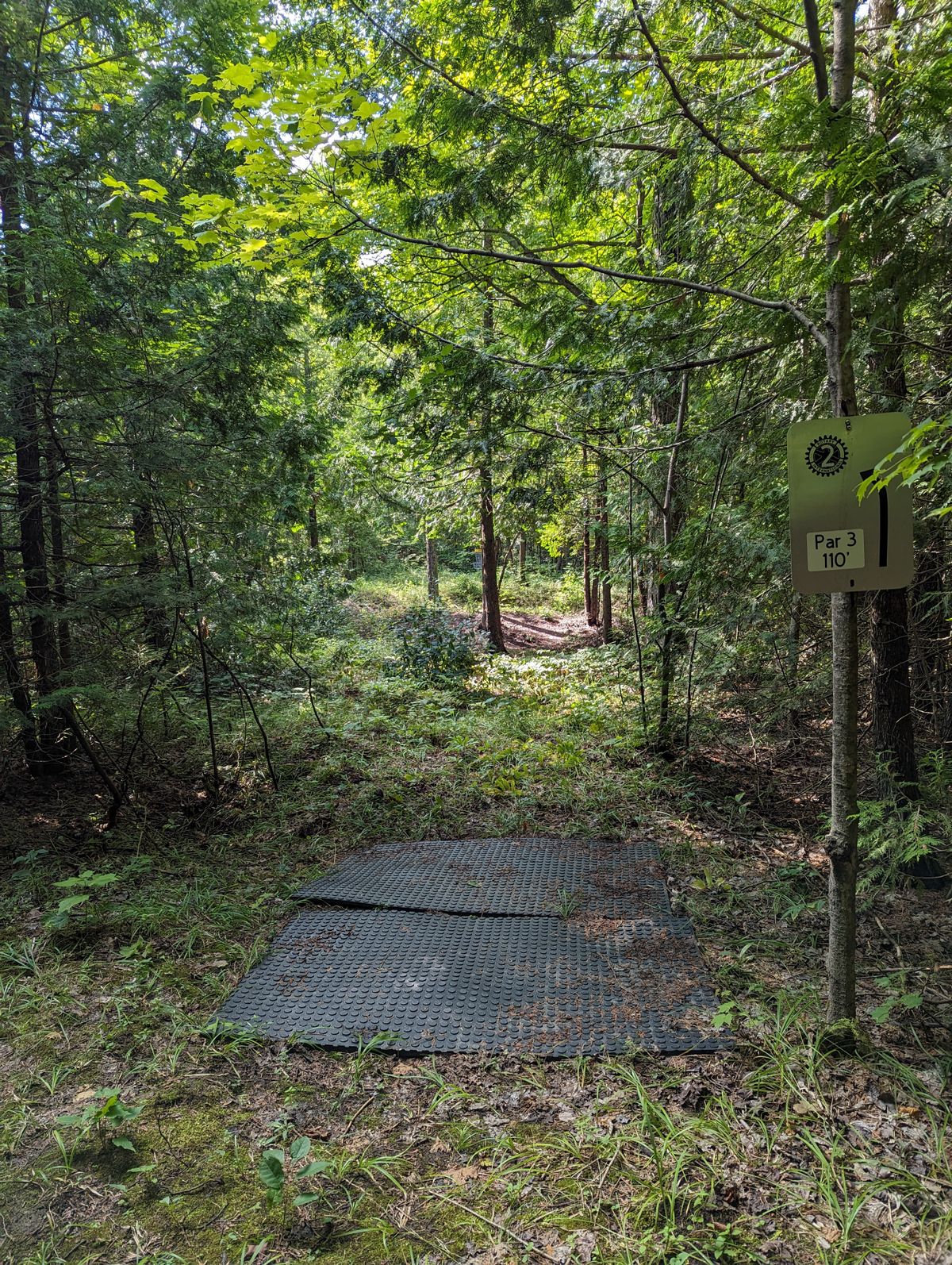 Hole 2 tee