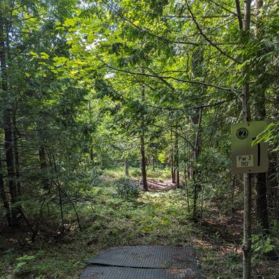 Hole 2 tee