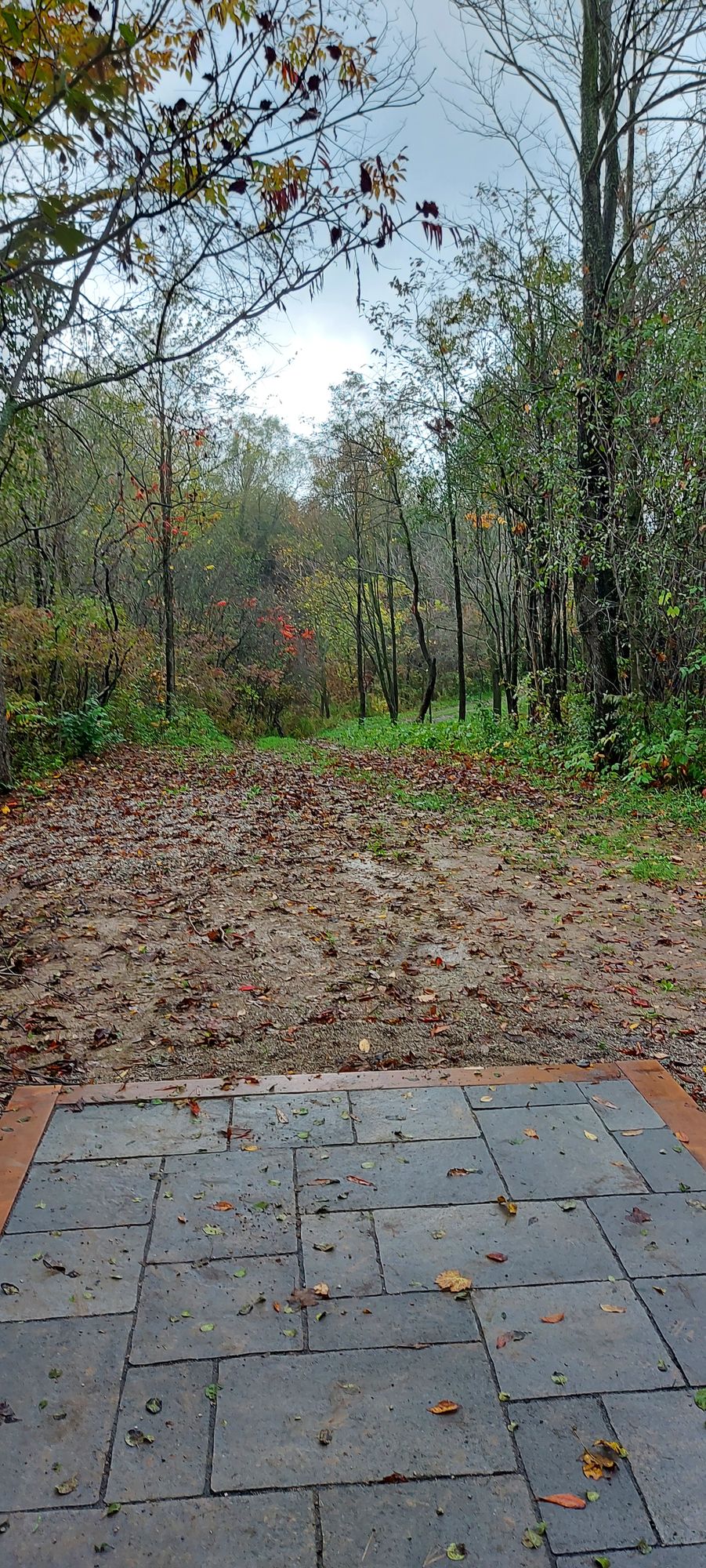 Tee pad #36.🍂🪵🍂🪵🍂