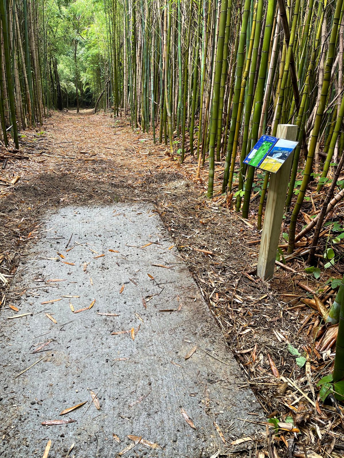 Hole 13