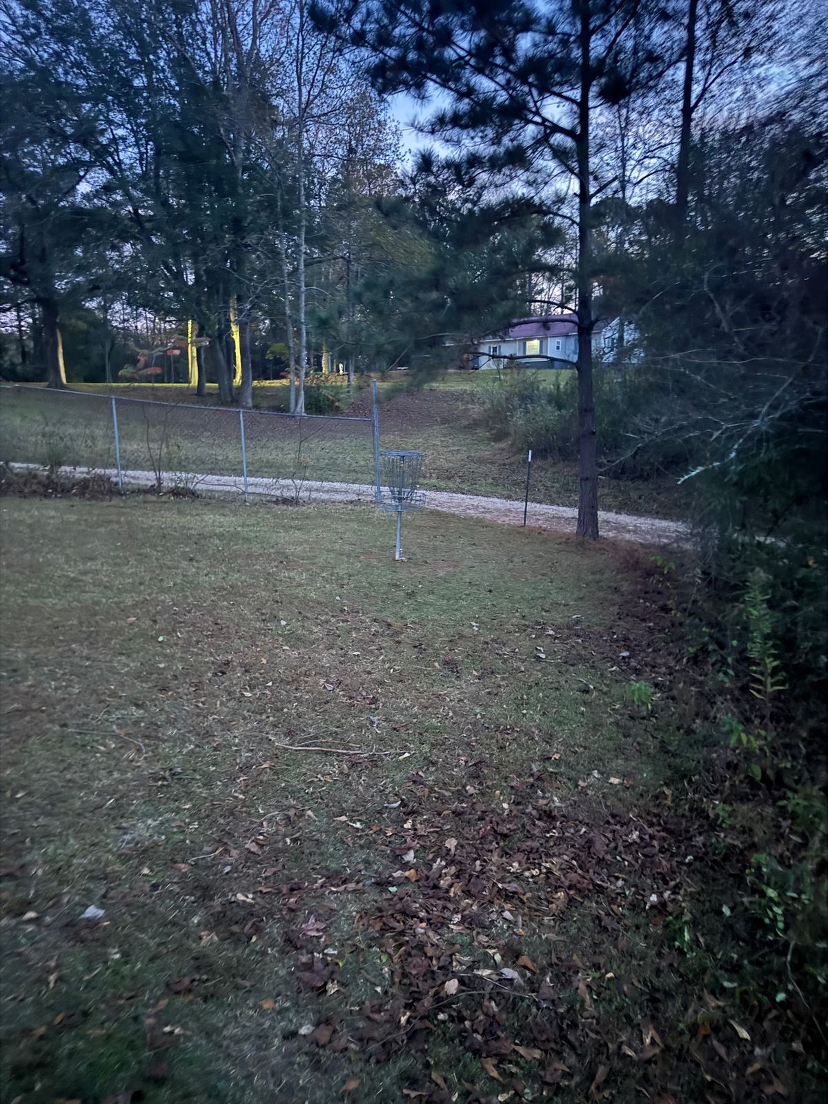 Hole 16 basket