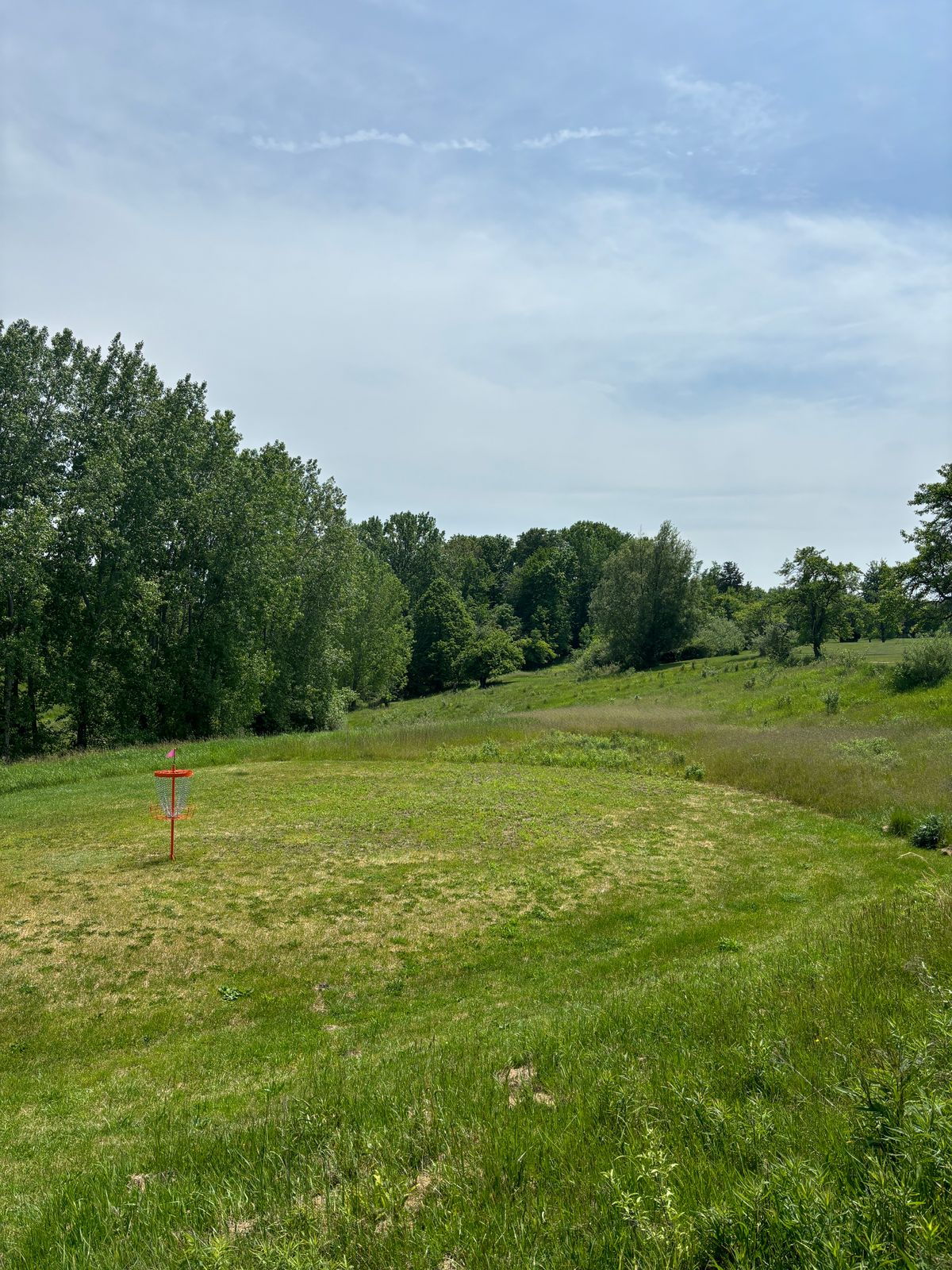 Hole 6 from basket view