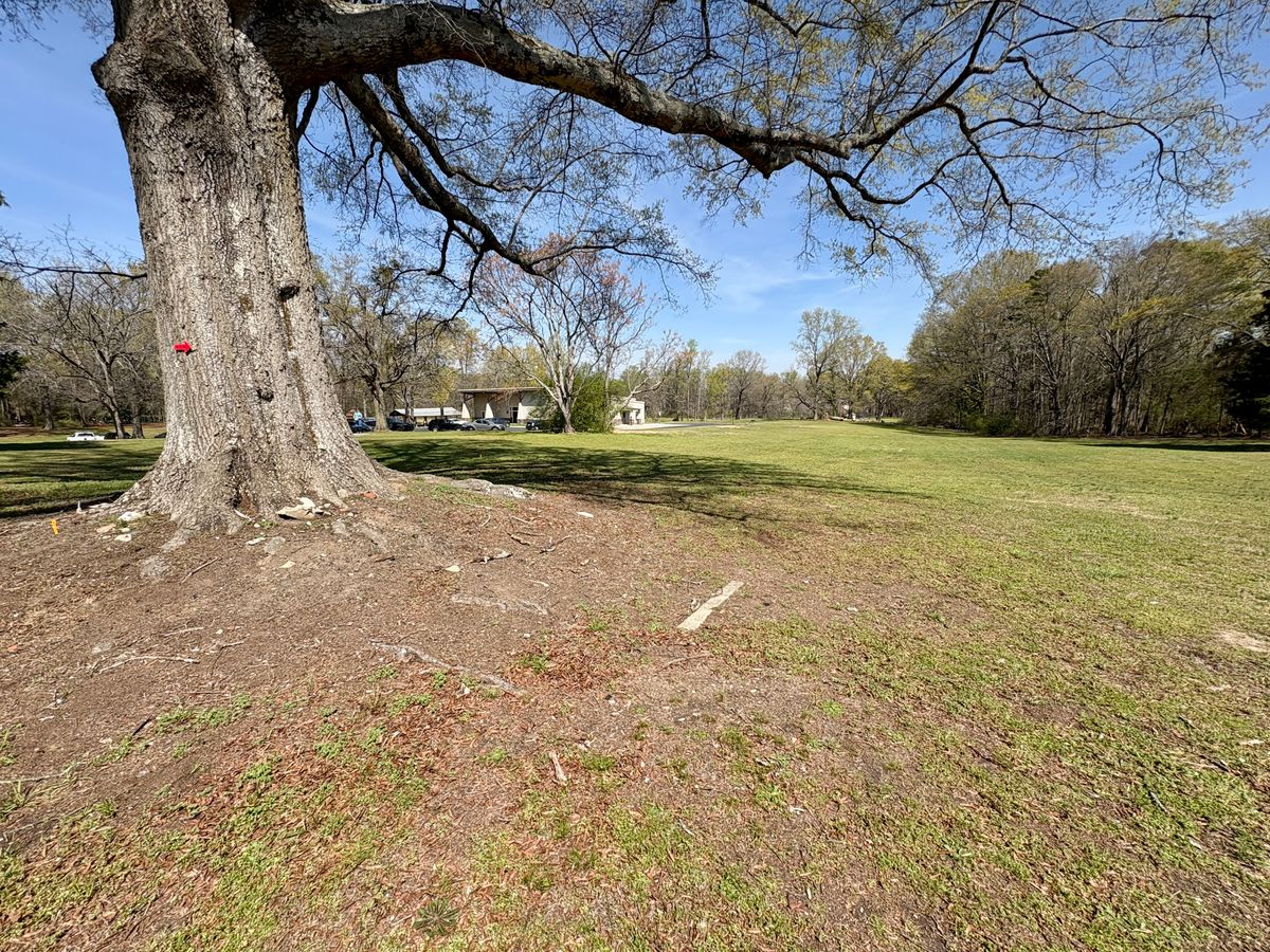 Hole 4 mid-fairway (mando right of tree)