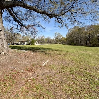 Hole 4 mid-fairway (mando right of tree)