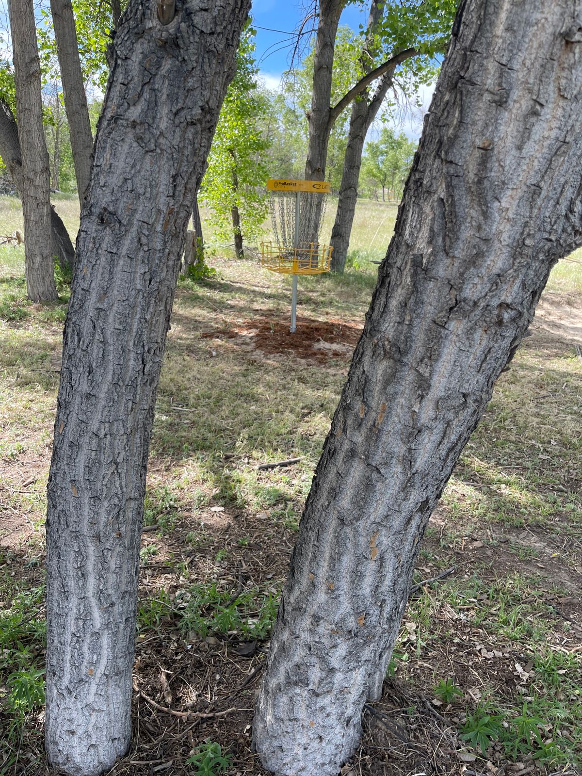 Hole 10