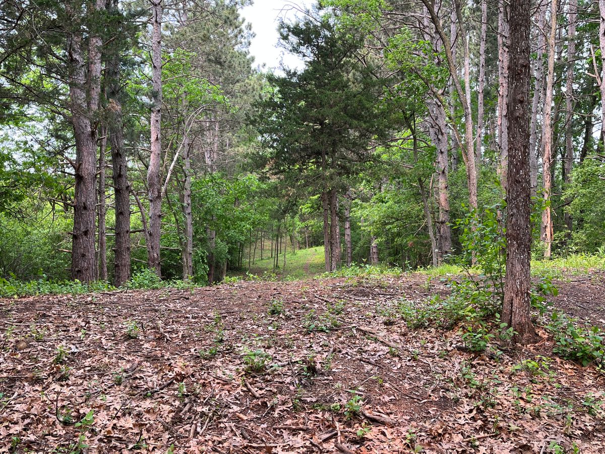 18’s fairway
