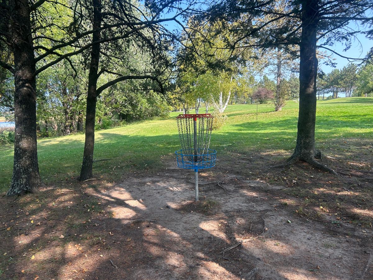 Hole 8 basket