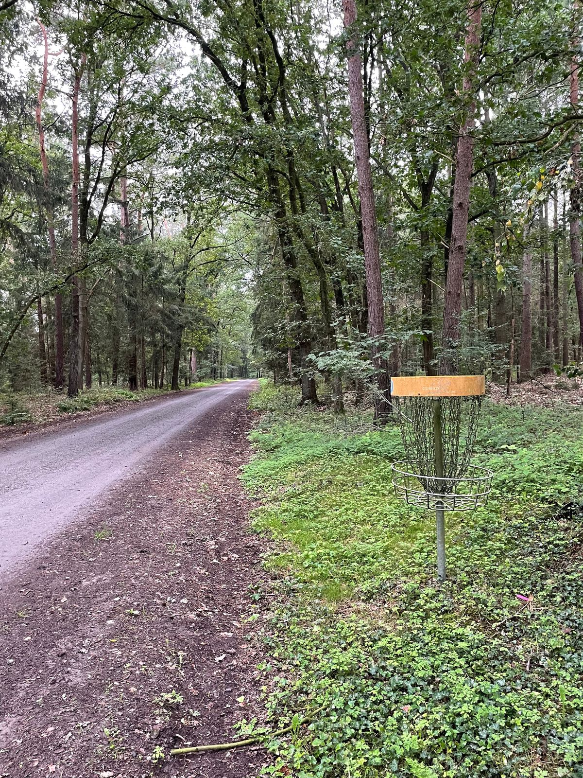 Alle 9 Körbe stehen entlang der einen Straße