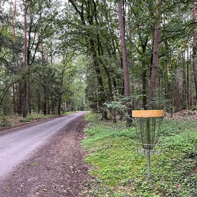 Alle 9 Körbe stehen entlang der einen Straße