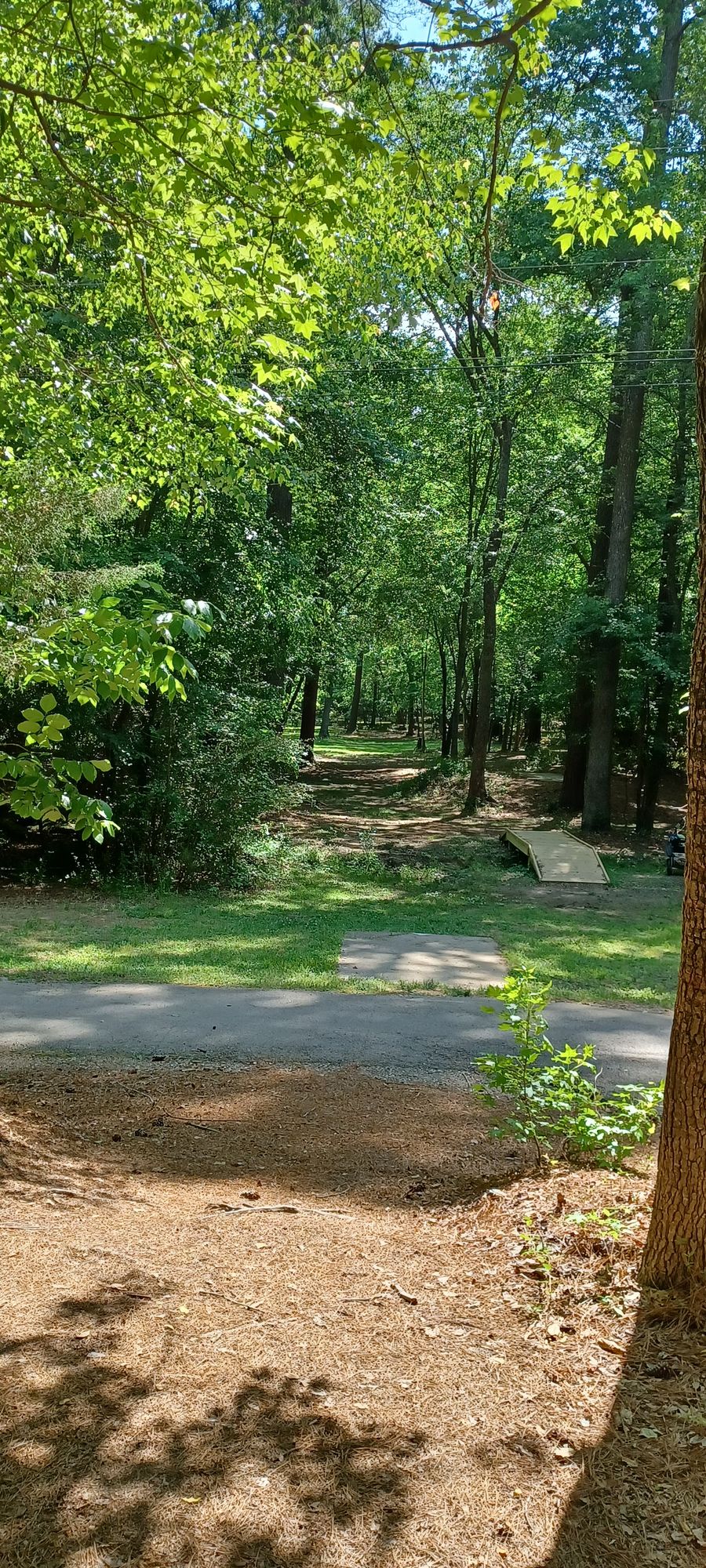 13 blue tee to C pin (425')
