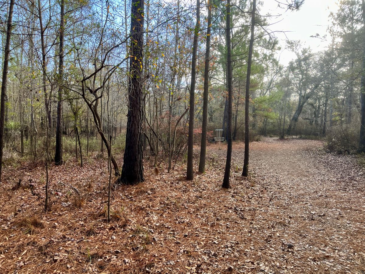 Hole 7 approach