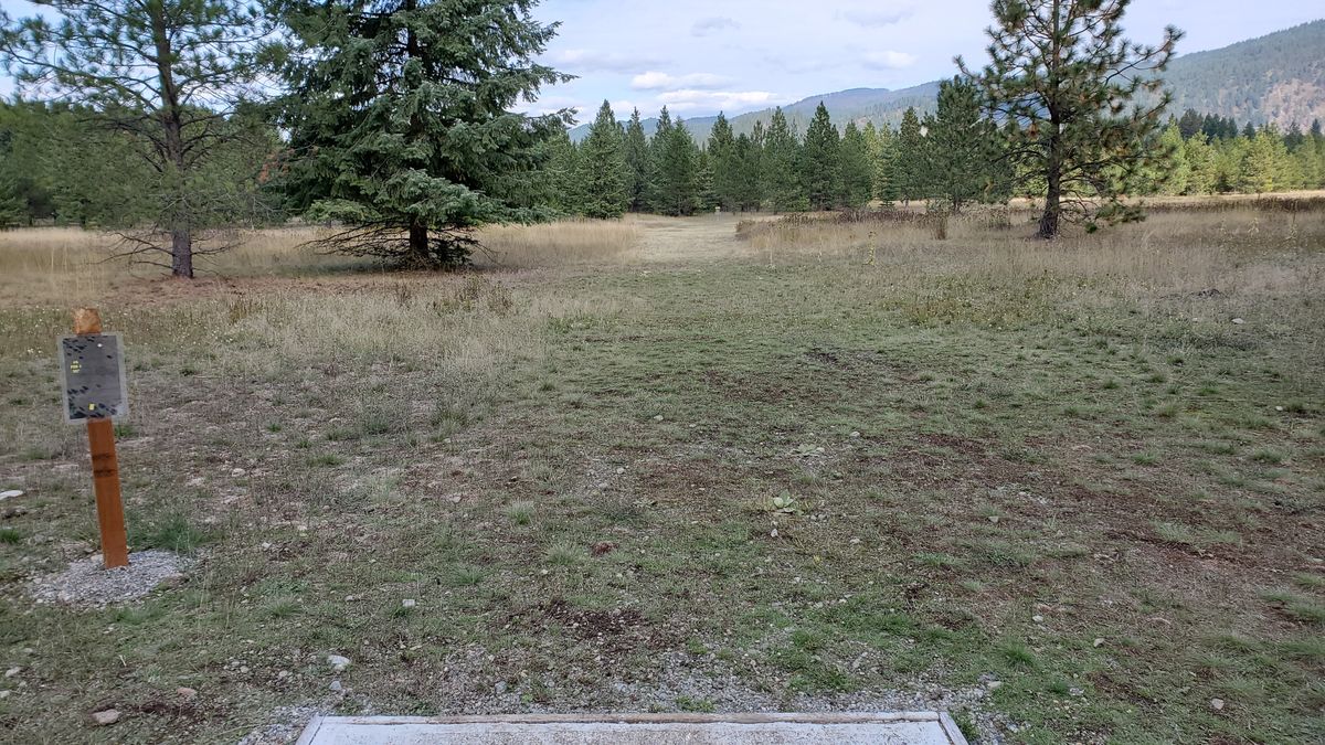 Tee pad hole 6