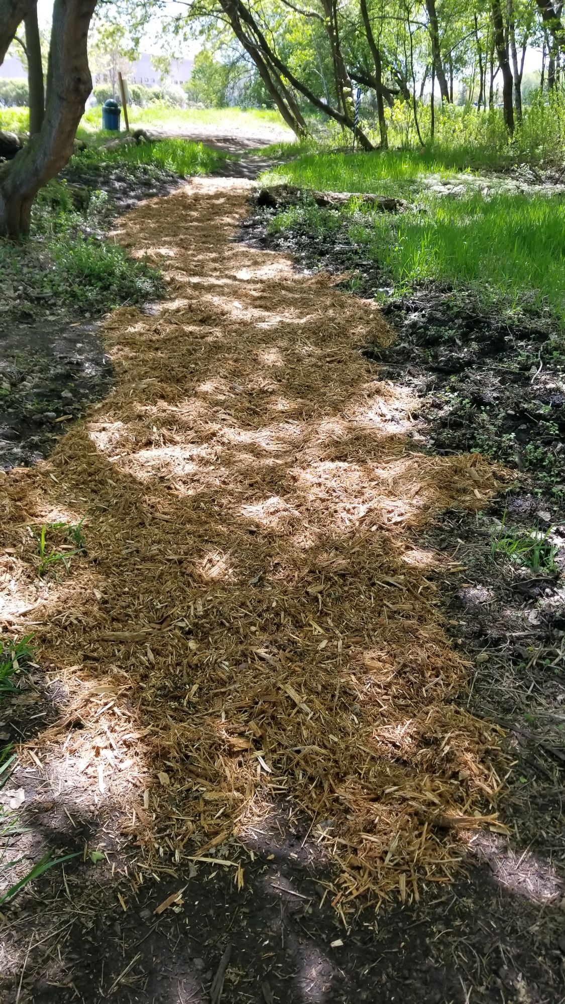 Fresh chips laid on walking paths