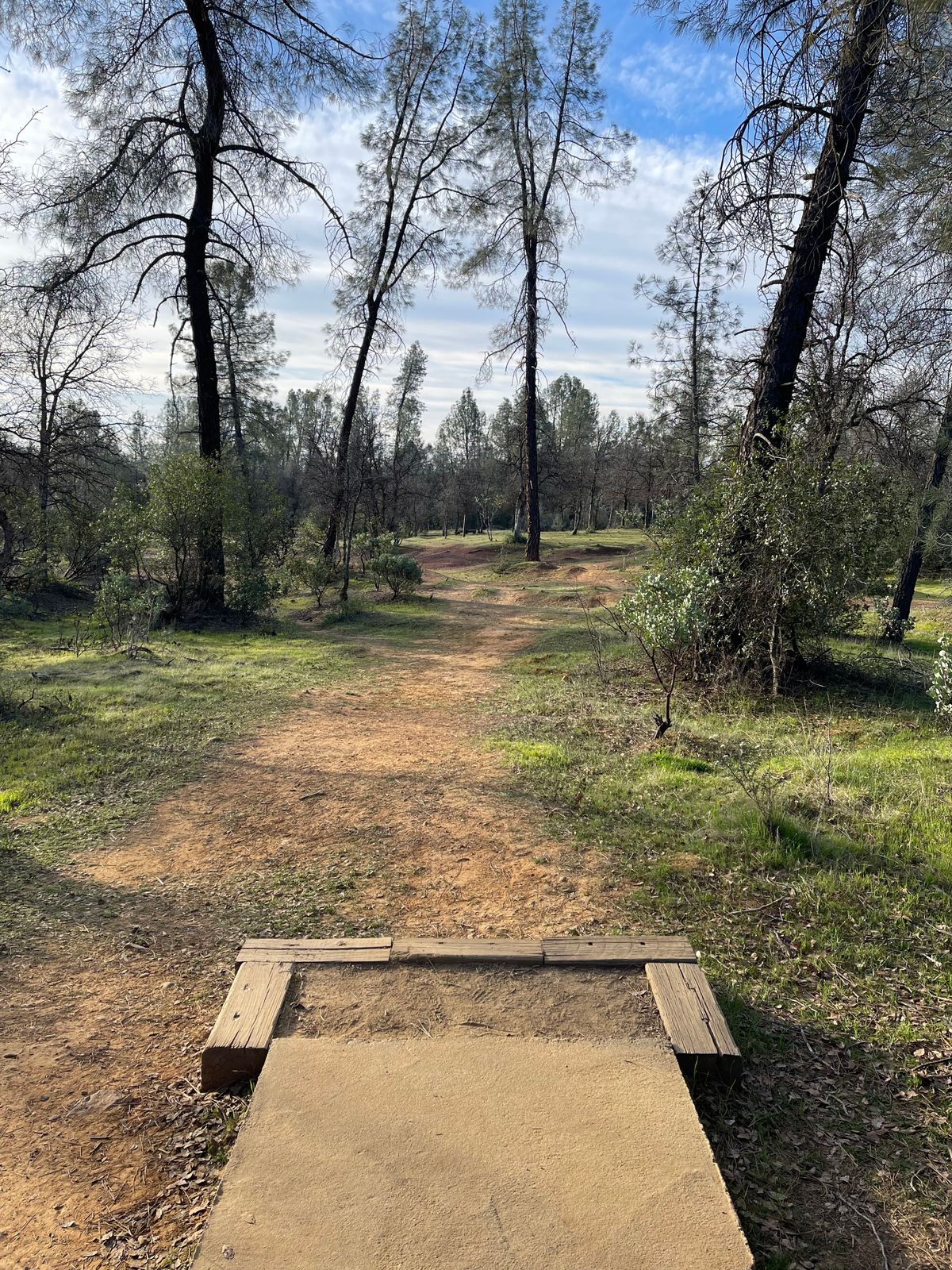 Hole 15 pin and ob to the left