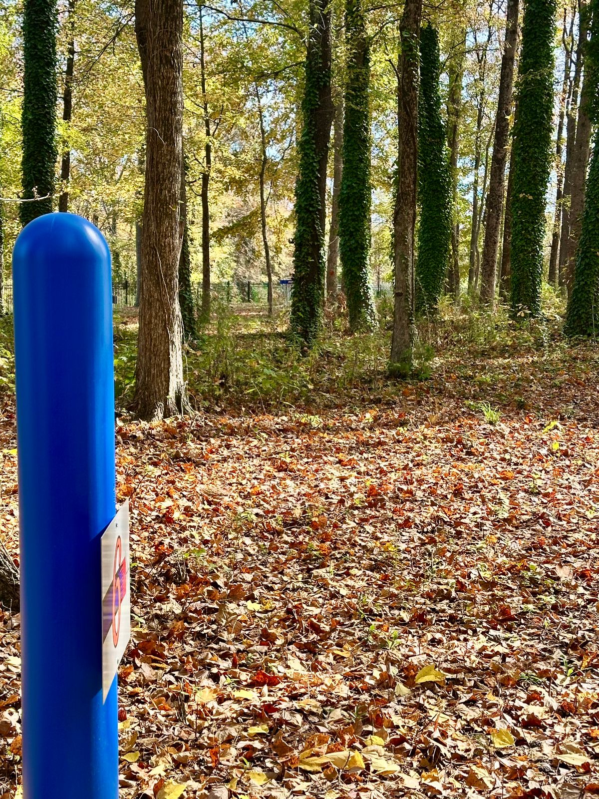 Hole 6