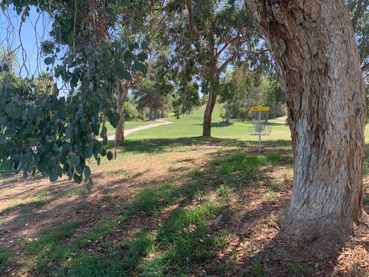 Omega Hole 8 Basket