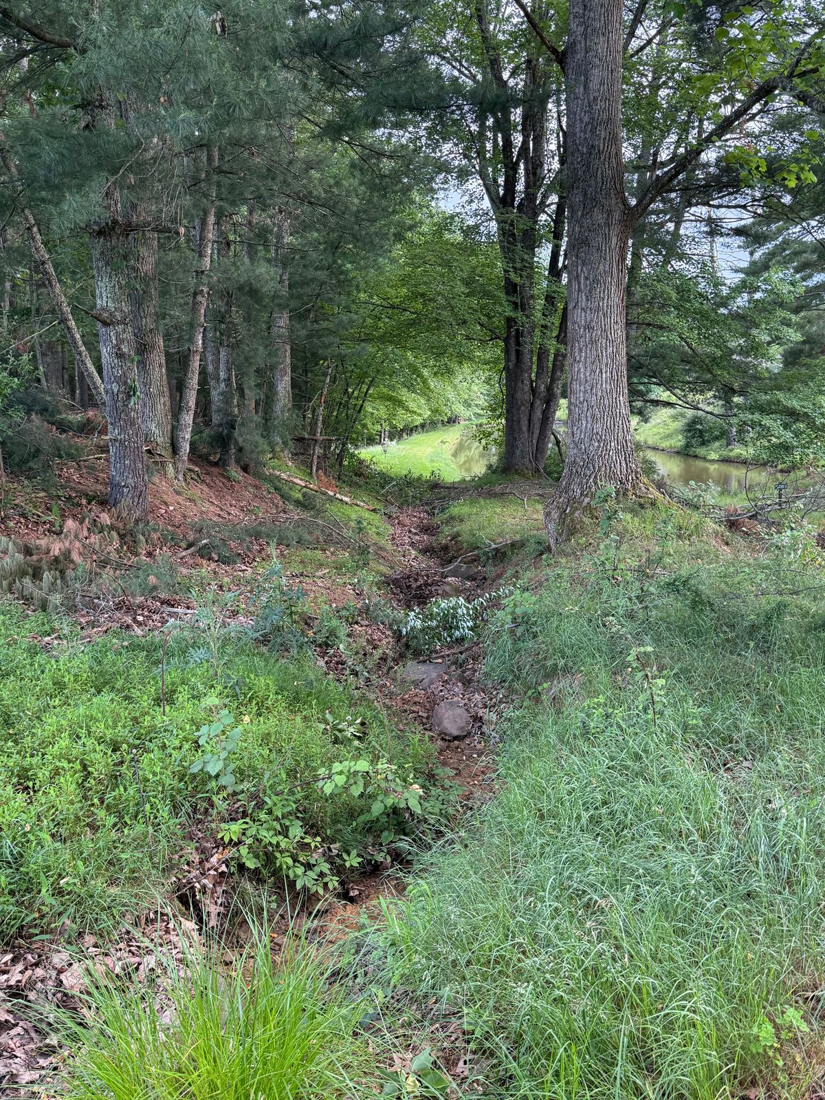 Tournament layout hole 17