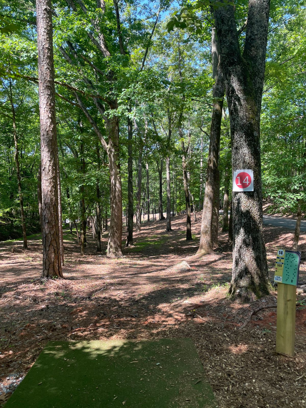 14 tee