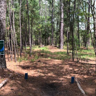 Hole 20