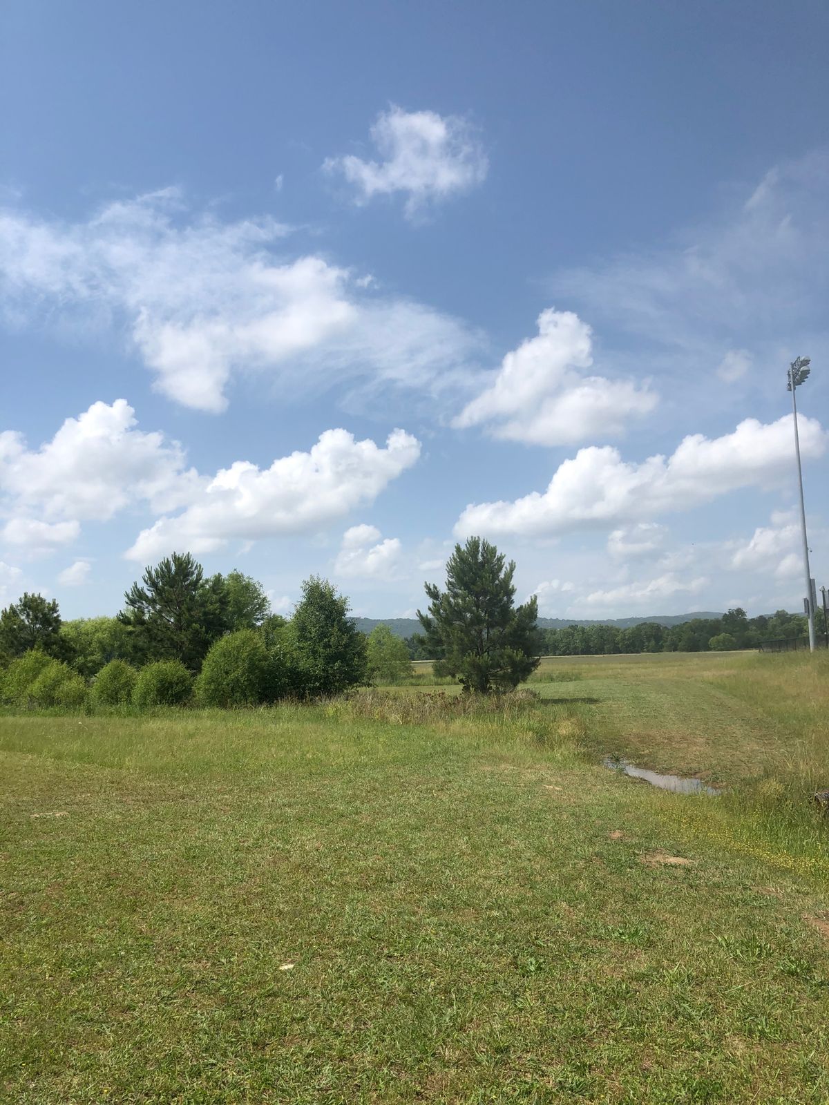 Hole 15
