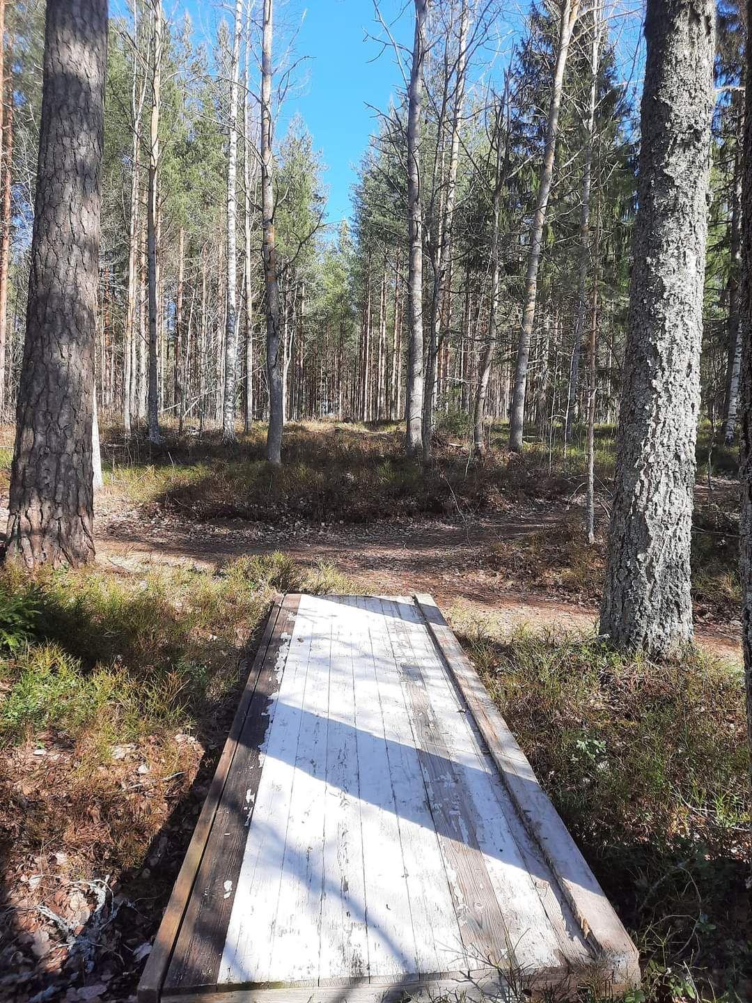 Tee hål 5
