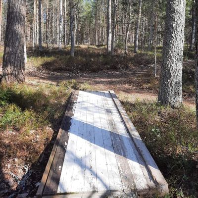 Tee hål 5