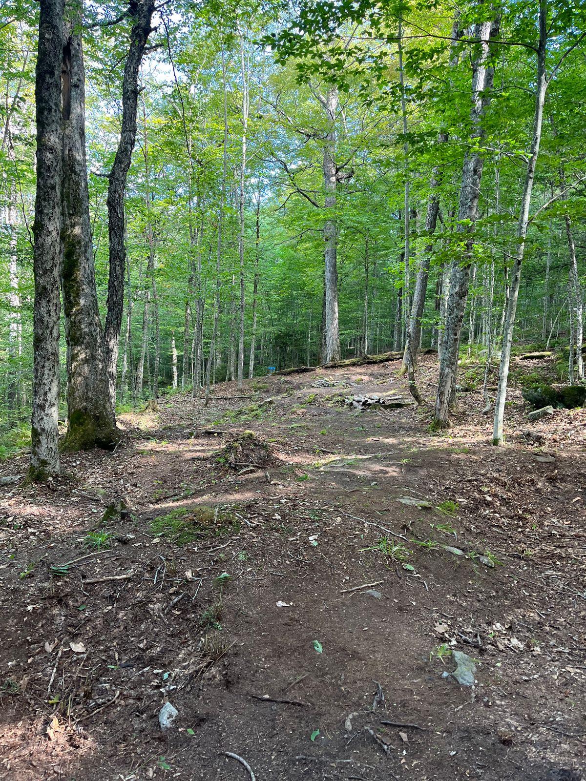 Hole 4 fairway