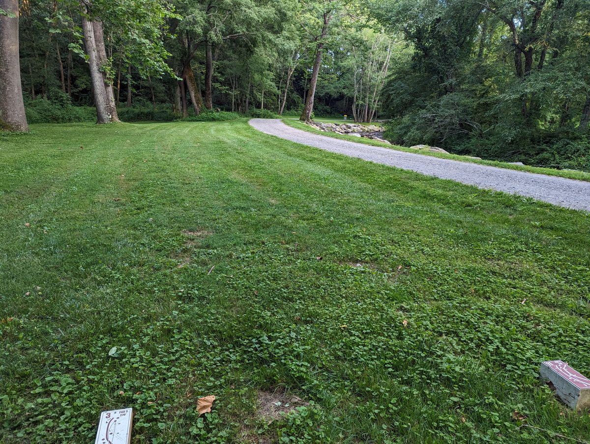 Hole 3's teepad, looking towards the basket