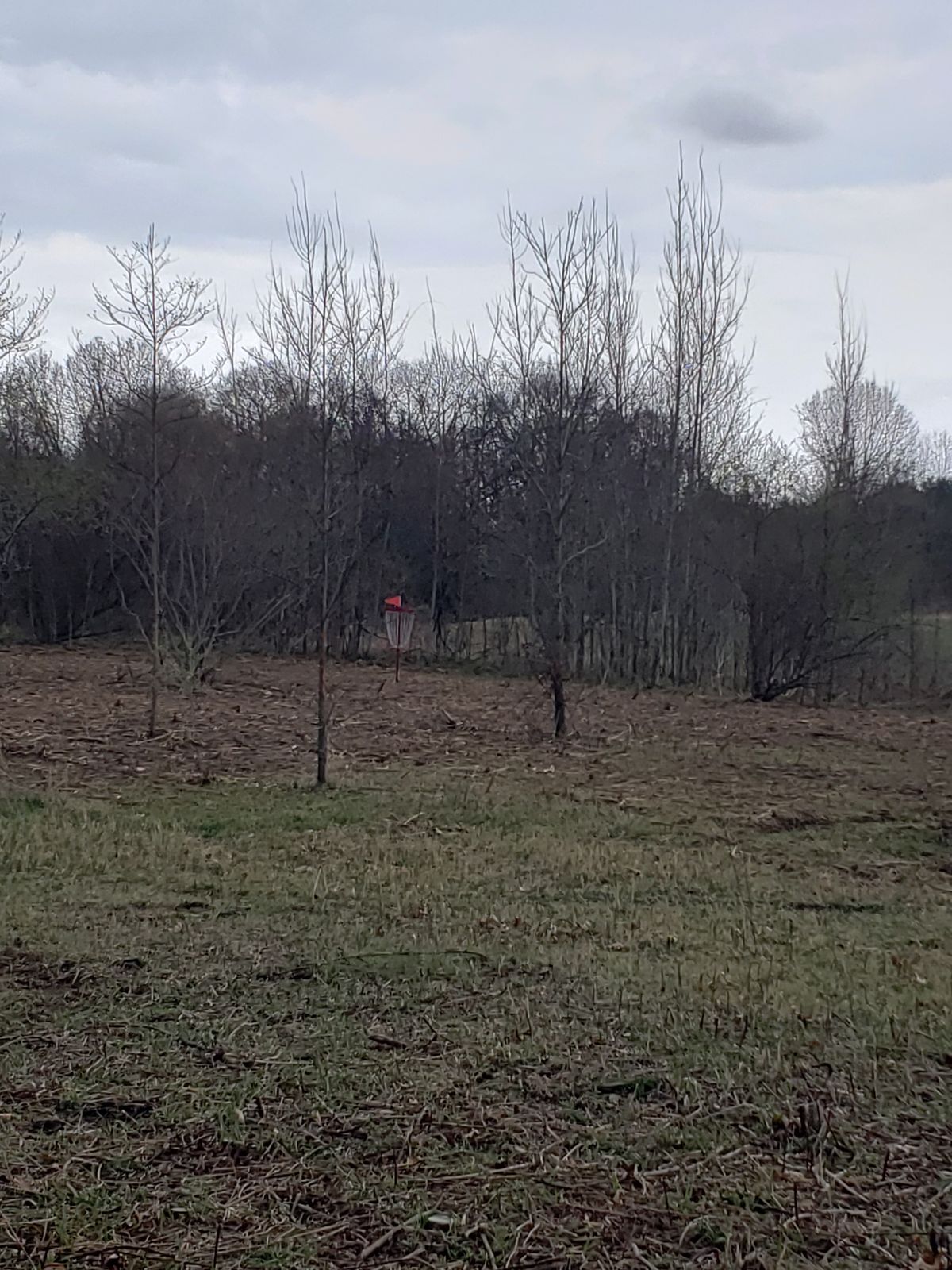 Hole 4's basket.