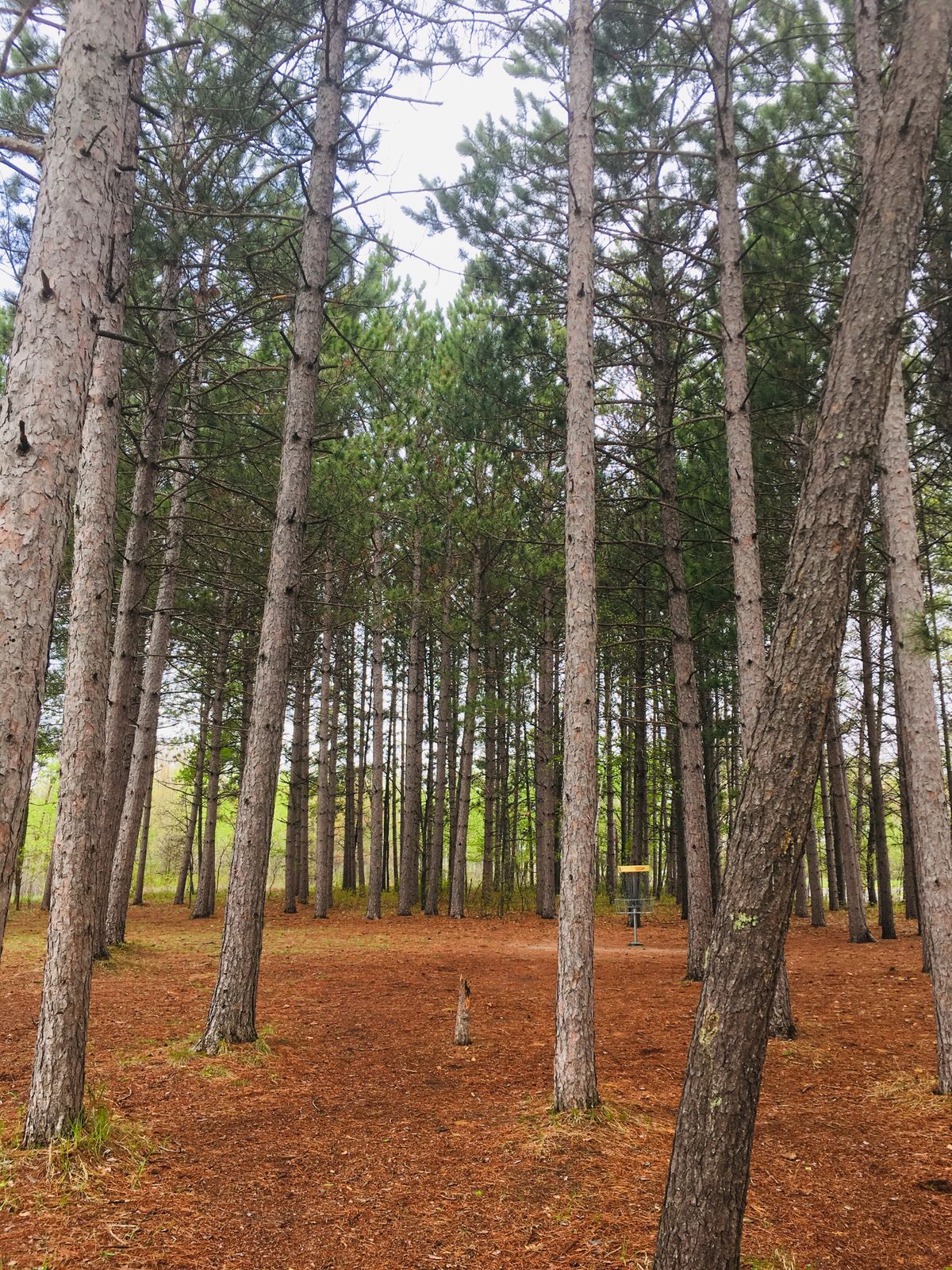A look at hole 16