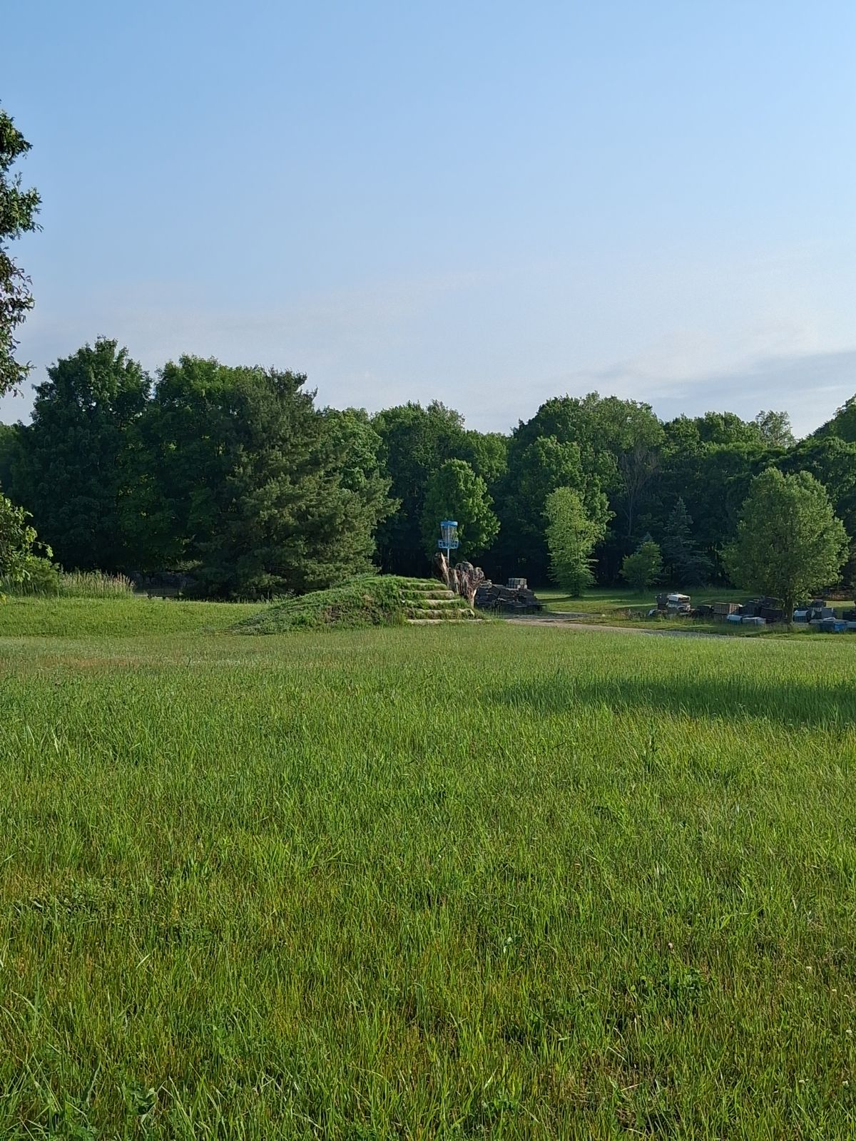 Elevated long basket for hole 6.