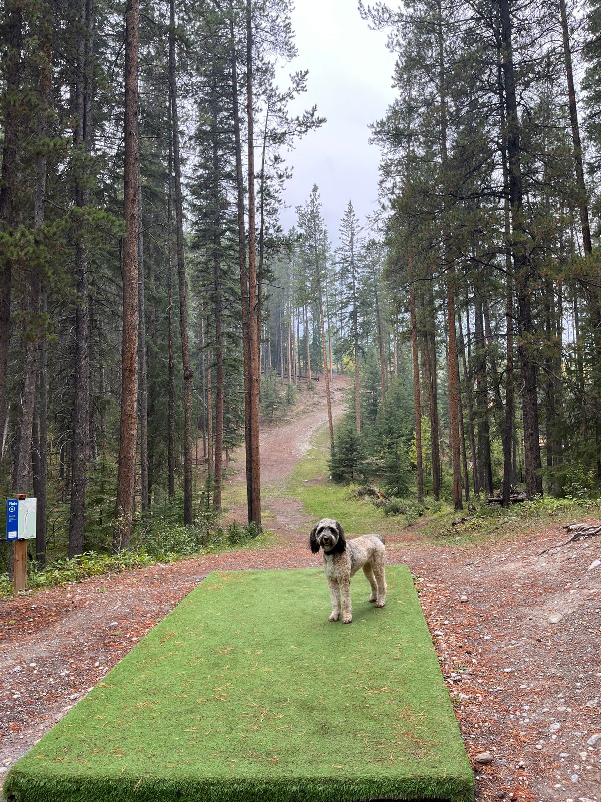 Murphy approves this course
