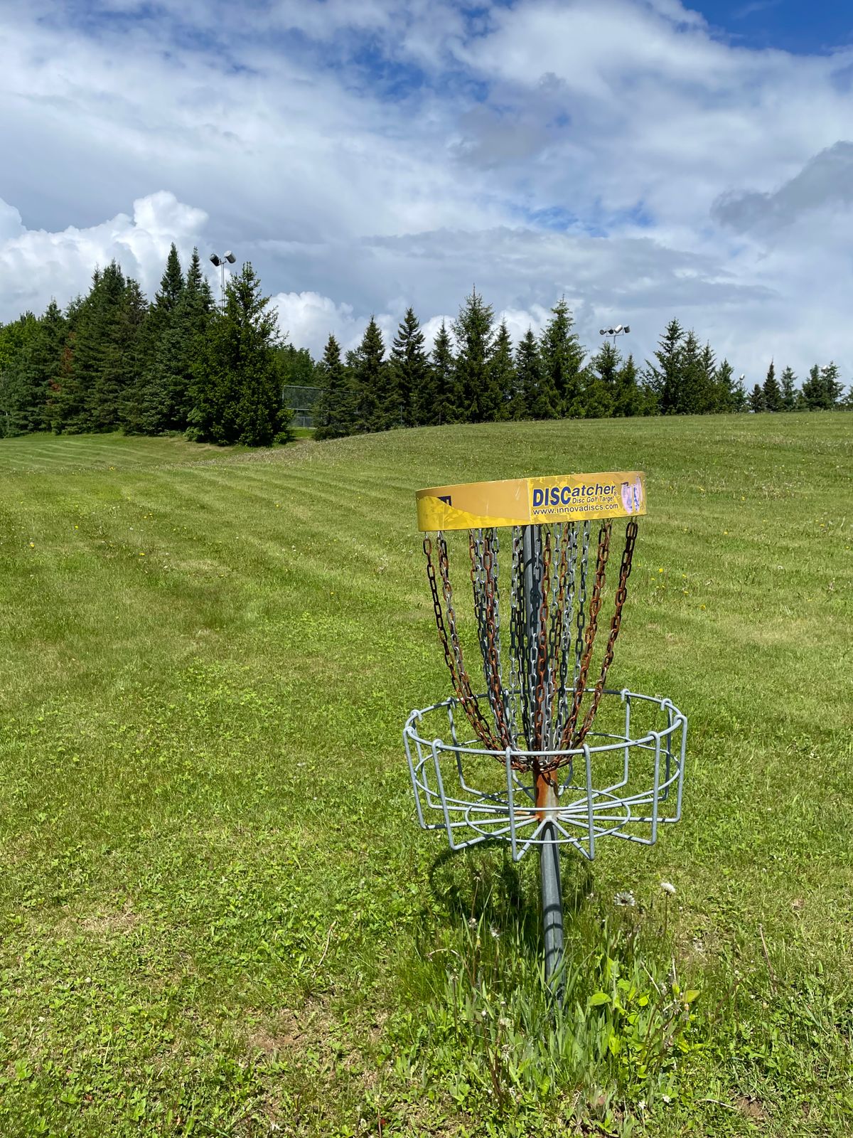 Basket for two looking back towards the tee.