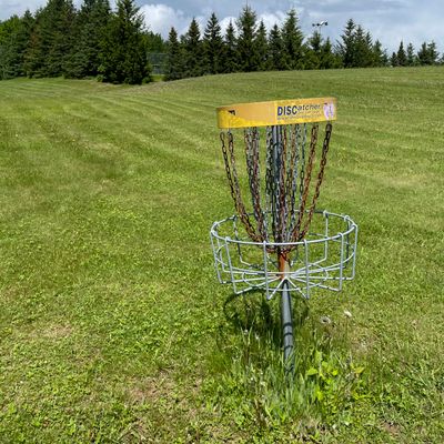 Basket for two looking back towards the tee.