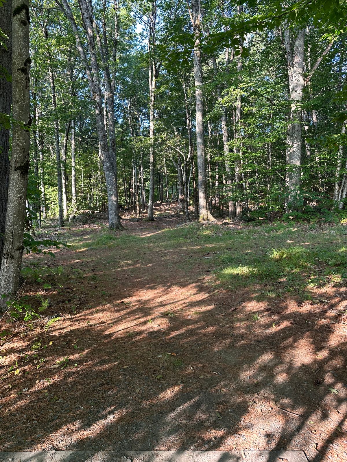 Tee pad 8