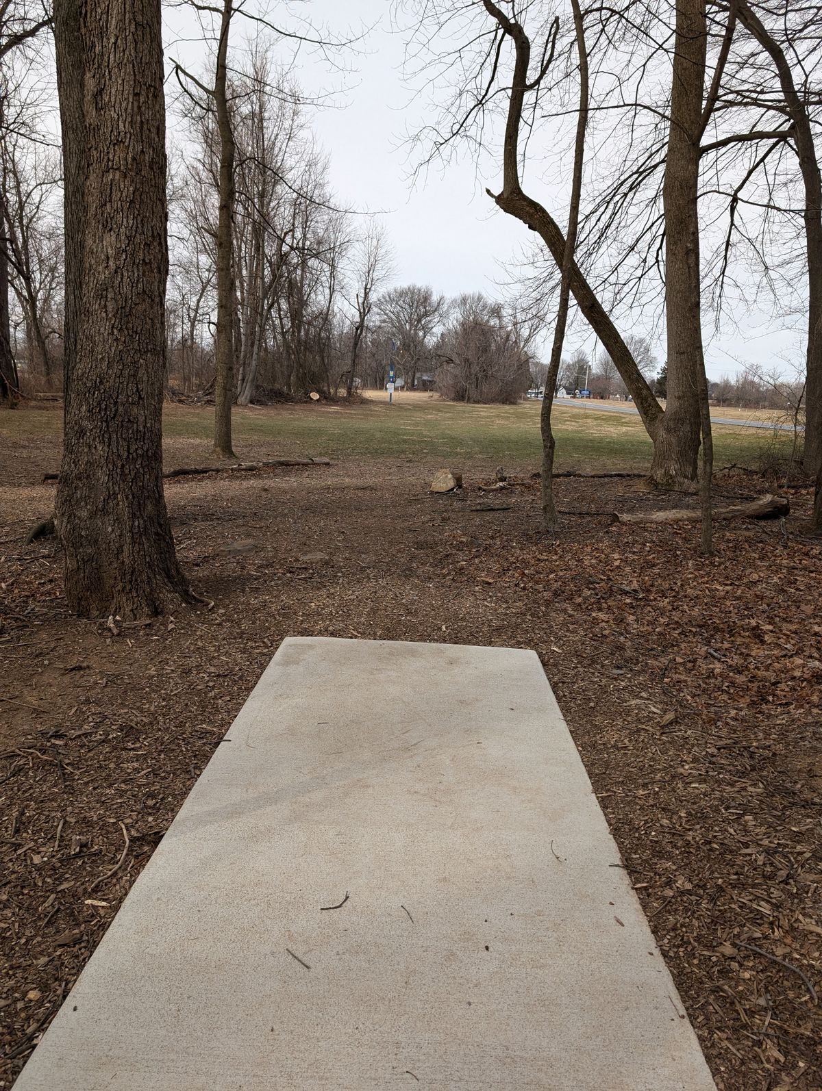 Hole 8