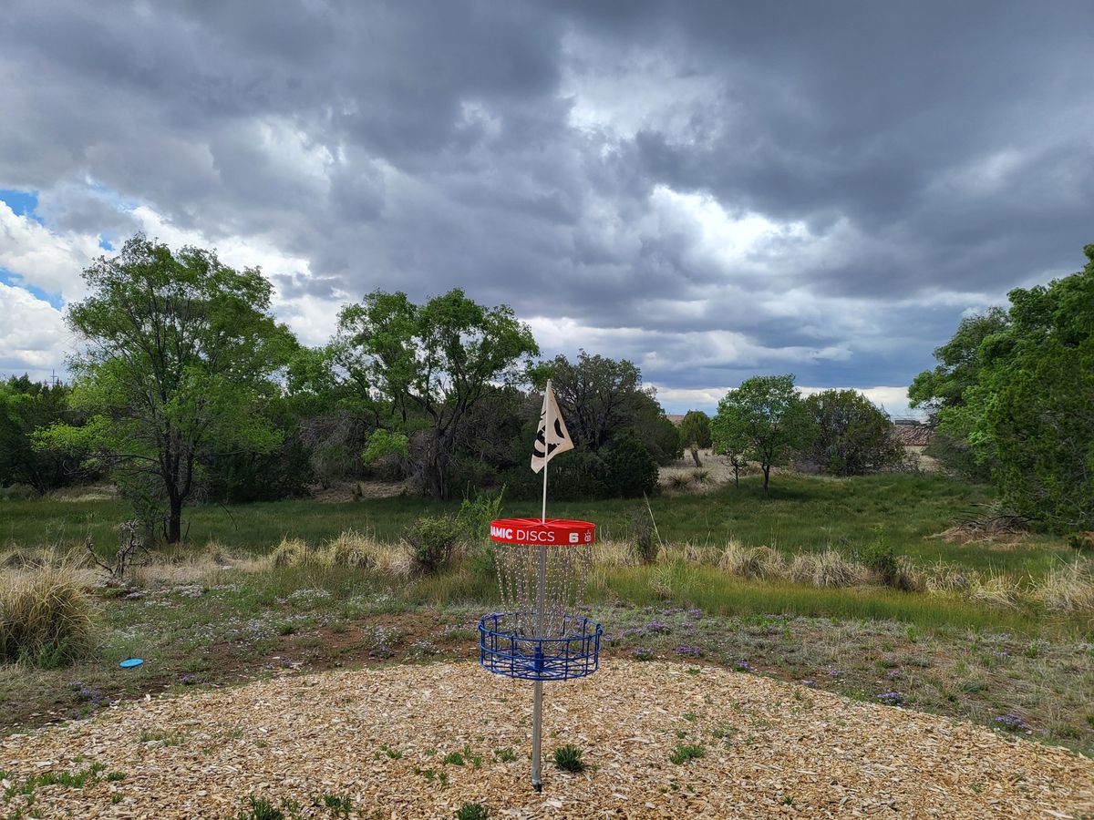 The greens are well maintained with wood chip surfaces, and the baskets are well kept, and placed.  It's hard not to love this course.