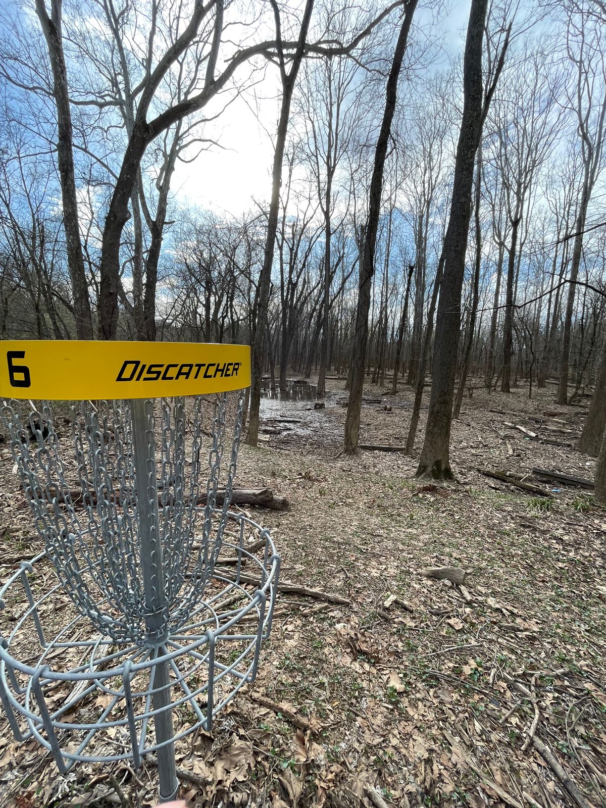 Looking back at 6’s tee